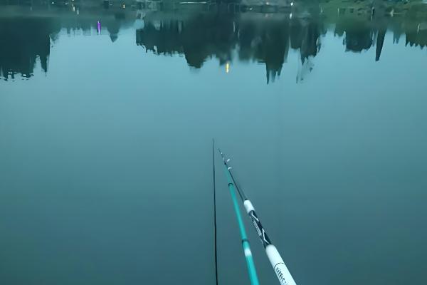 钓鱼怎么挂泥鳅,主要有背挂法、鼻挂法、尾挂法这三种方式