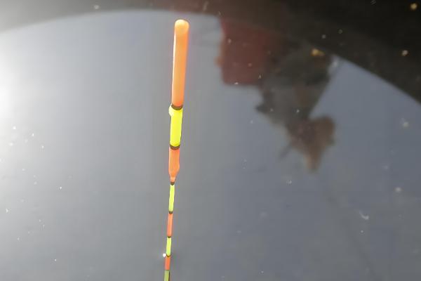 钓鱼怎么挂泥鳅,主要有背挂法、鼻挂法、尾挂法这三种方式