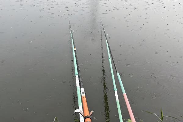 钓鱼怎么挂泥鳅,主要有背挂法、鼻挂法、尾挂法这三种方式