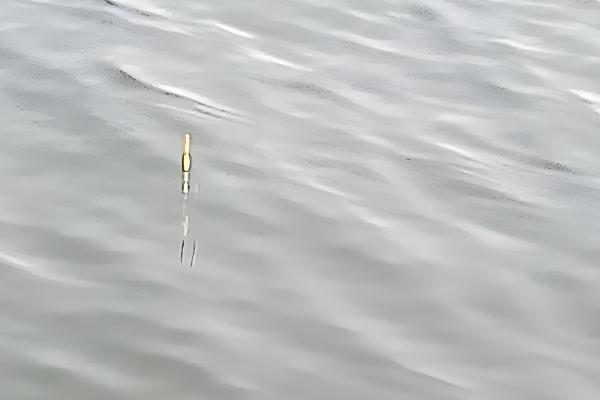 钓鱼怎么挂泥鳅,主要有背挂法、鼻挂法、尾挂法这三种方式