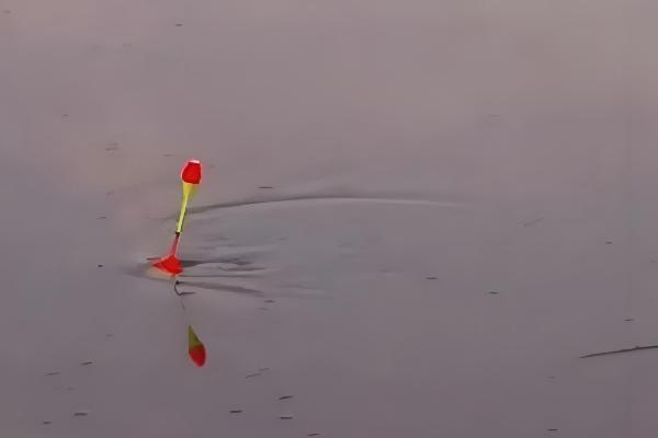 钓鱼怎么挂泥鳅,主要有背挂法、鼻挂法、尾挂法这三种方式