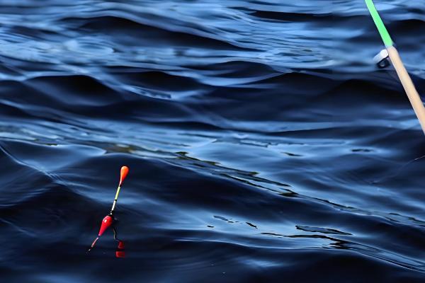 钓鱼怎么挂泥鳅,主要有背挂法、鼻挂法、尾挂法这三种方式