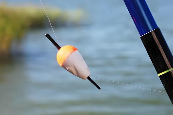 钓鱼怎么挂泥鳅,主要有背挂法、鼻挂法、尾挂法这三种方式