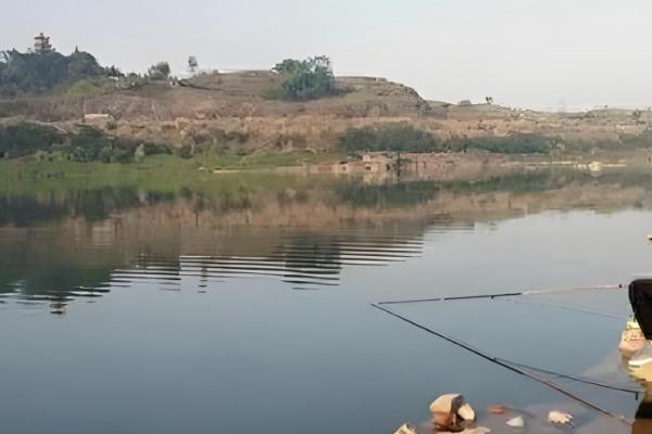 钓鱼怎么挂泥鳅,主要有背挂法、鼻挂法、尾挂法这三种方式