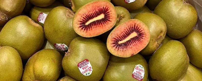红心猕猴桃的价格，一斤需要6-12元左右