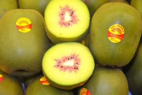 红心猕猴桃的价格,一斤需要6-12元左右