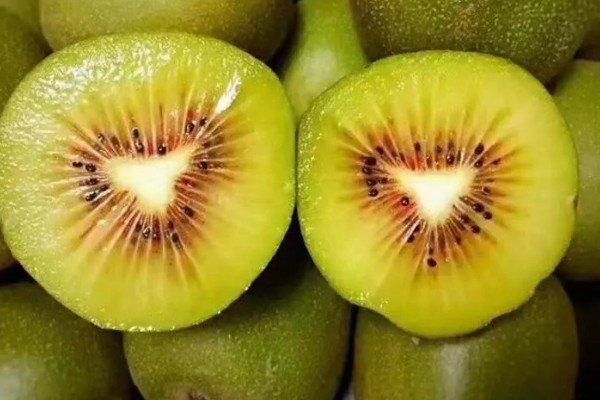 红心猕猴桃的价格,一斤需要6-12元左右