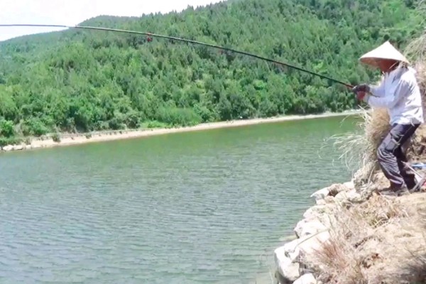 谷麦钓法介绍,目标鱼主要是鲫鱼、鲤鱼等