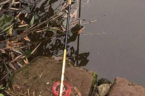 谷麦钓法介绍,目标鱼主要是鲫鱼、鲤鱼等