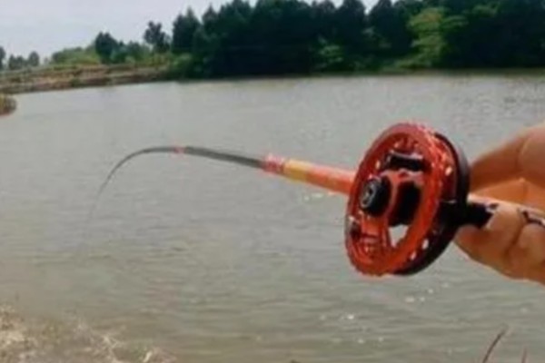 谷麦钓法介绍,目标鱼主要是鲫鱼、鲤鱼等