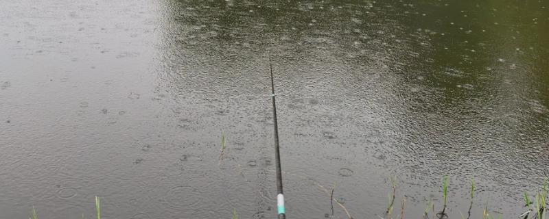 三月小雨好不好钓鱼，好钓鱼