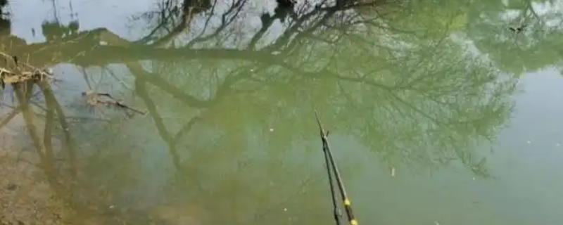 冬季刮西南风钓不到鱼的原因，气压太低会影鱼类的活性