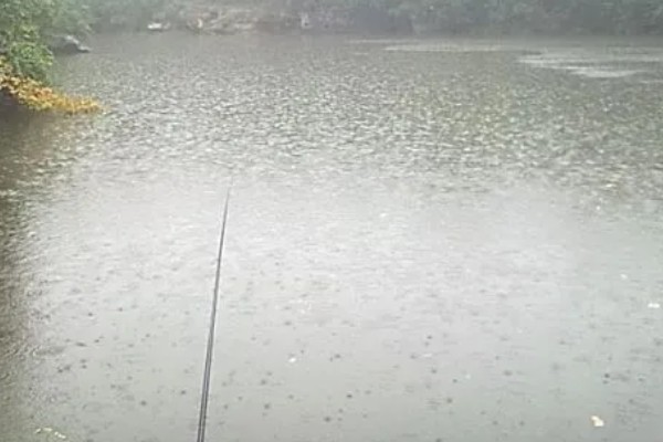 三月小雨好不好钓鱼，好钓鱼
