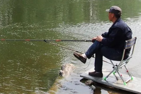 三月小雨好不好钓鱼，好钓鱼