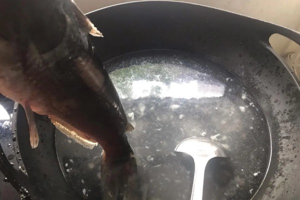 钳鱼的特点，身体较长且前部宽于后部