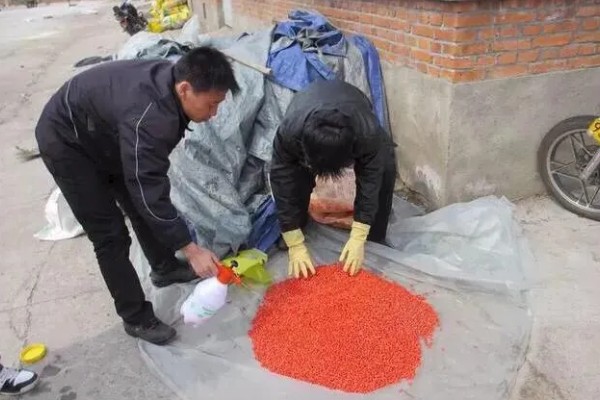 玉米下部叶片黄枯如何治疗,可喷施叶枯灵等