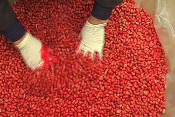 玉米下部叶片黄枯如何治疗,可喷施叶枯灵等