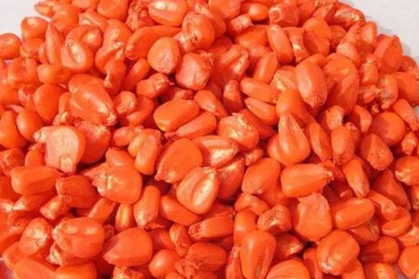 玉米下部叶片黄枯如何治疗,可喷施叶枯灵等