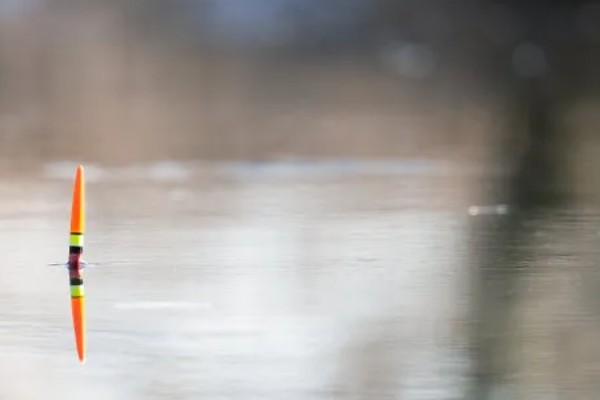 冬季刮西南风钓不到鱼的原因，气压太低会影鱼类的活性