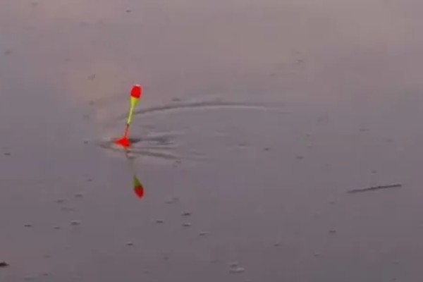 冬季刮西南风钓不到鱼的原因，气压太低会影鱼类的活性