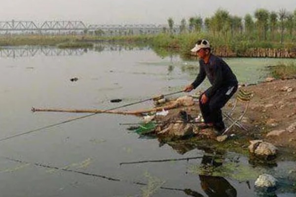 冬季刮西南风钓不到鱼的原因，气压太低会影鱼类的活性