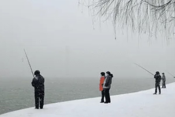 冬季刮西南风钓不到鱼的原因，气压太低会影鱼类的活性
