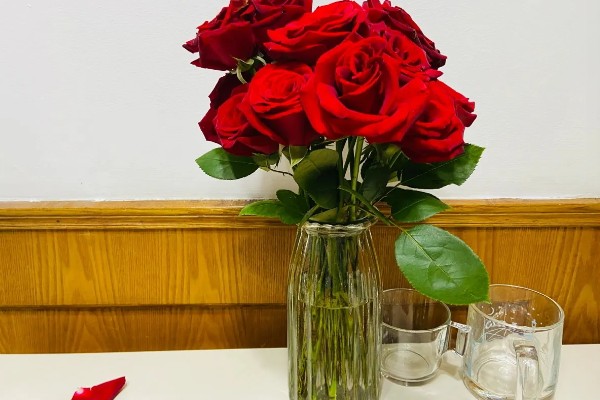 玫瑰花用水泡几天可生根，泡15天生根