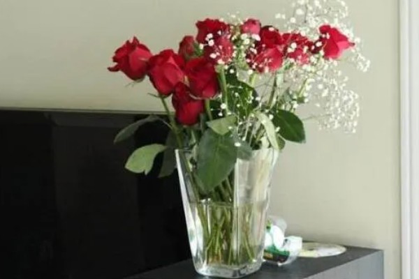 玫瑰花用水泡几天可生根，泡15天生根