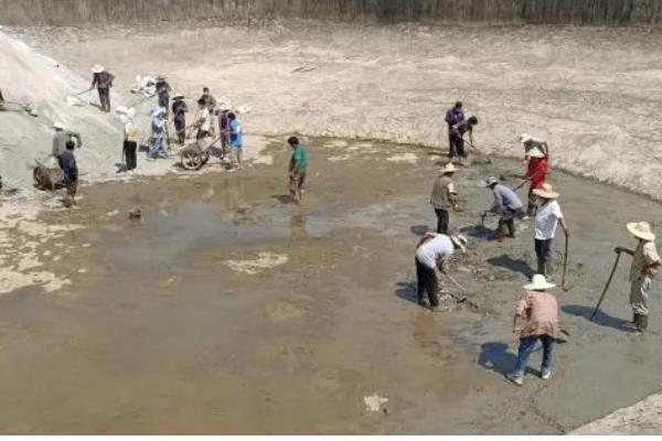 马口鱼的养殖技术,养1个月后通常进行1次分养