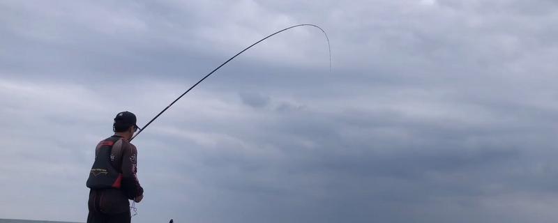 矶竿和海竿有什么区别，定义、材质、种类等方面都不同