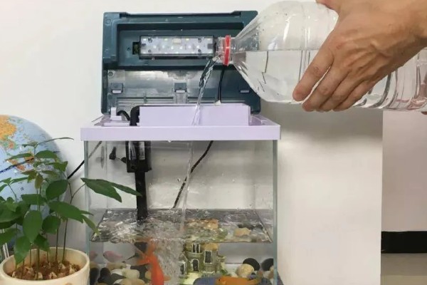 小金鱼的换水间隔，夏季每隔3天左右换一次