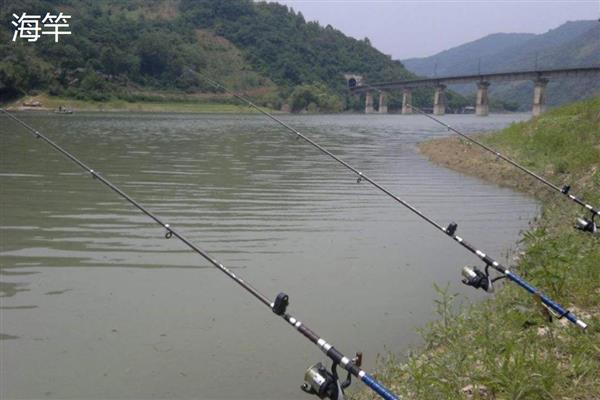 矶竿和海竿有什么区别，定义、材质、种类等方面都不同