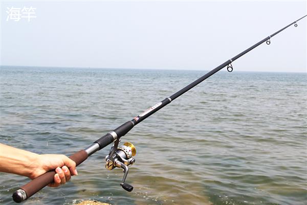 矶竿和海竿有什么区别，定义、材质、种类等方面都不同