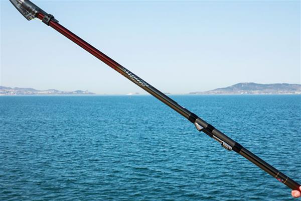 矶竿和海竿有什么区别，定义、材质、种类等方面都不同