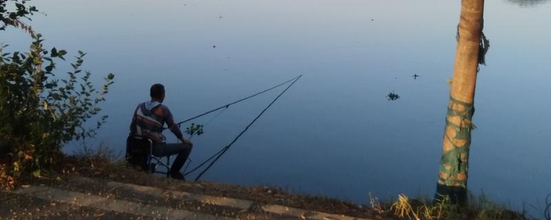 夏天早晨钓鱼怎样选择钓位，选择水草比较丰富的水域