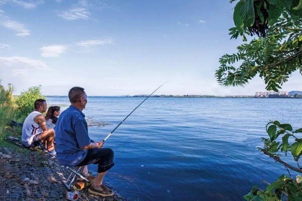 夏天早晨钓鱼怎样选择钓位，选择水草比较丰富的水域