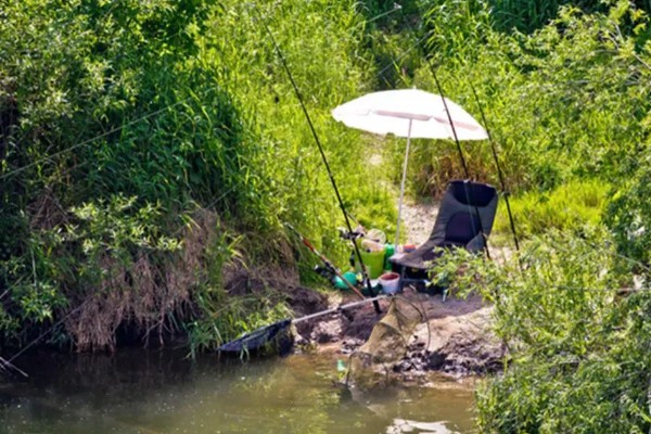 夏天早晨钓鱼怎样选择钓位，选择水草比较丰富的水域