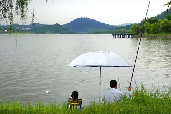 夏天早晨钓鱼怎样选择钓位，选择水草比较丰富的水域