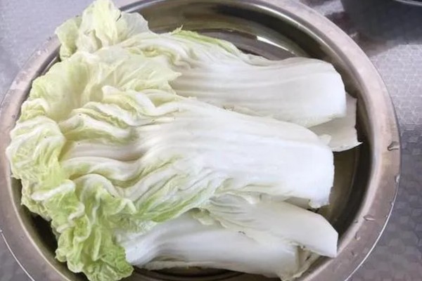 白菜怎样种植，一般是播种