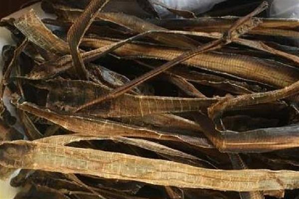 干蚯蚓收购是不是骗局,需要根据实际情况来判断