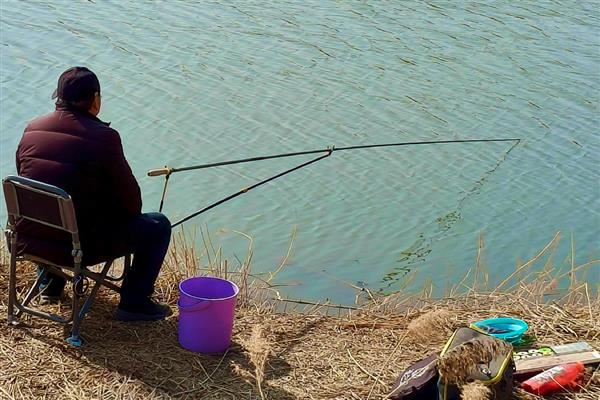 鲶鱼用什么钓，推荐蚯蚓、鸡肝等