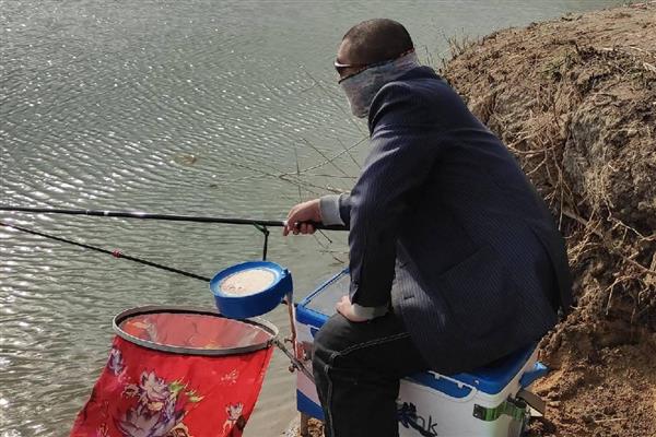 鲶鱼用什么钓，推荐蚯蚓、鸡肝等