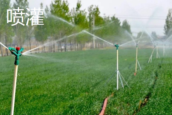 常见的灌溉方式,有滴灌、喷灌等