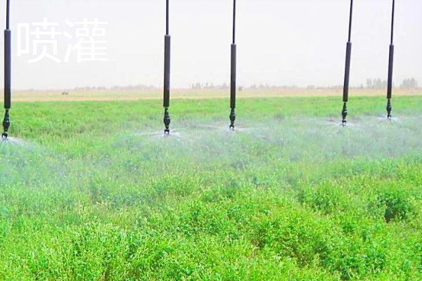 常见的灌溉方式,有滴灌、喷灌等