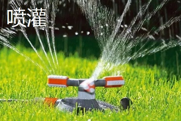 常见的灌溉方式,有滴灌、喷灌等