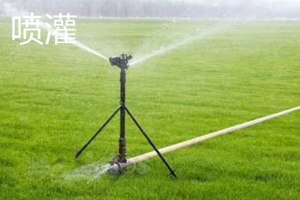 常见的灌溉方式,有滴灌、喷灌等