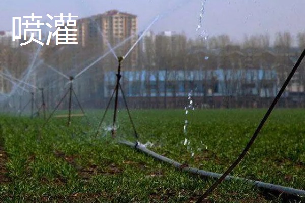 常见的灌溉方式,有滴灌、喷灌等