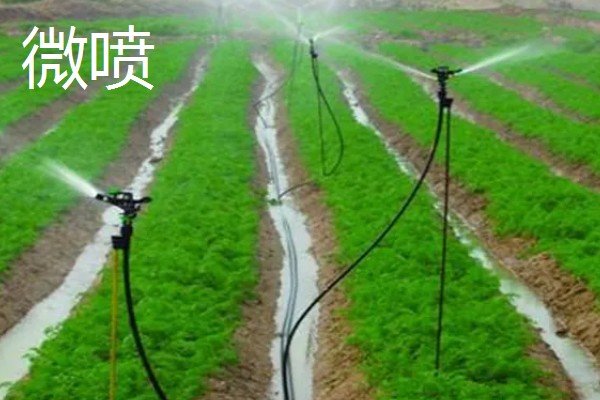 常见的灌溉方式,有滴灌、喷灌等