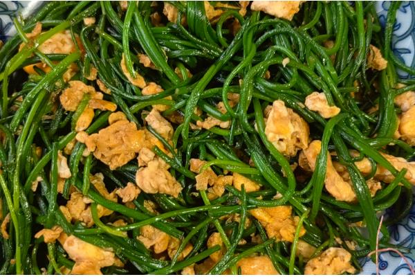 沙葱能不能用冰箱保存，用冰箱冷冻可保存15天以上