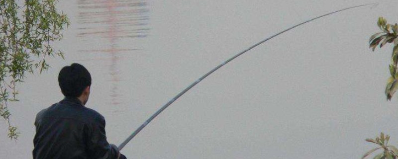 0.8主线配几号子线合适，建议搭配0.4号子线